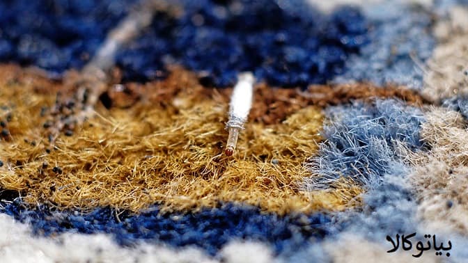 از بین بردن بید و شب پره های لباس